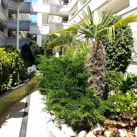 Apartment Acv Marina Trebol Iii-2ª Linea Planta 7 Sur
